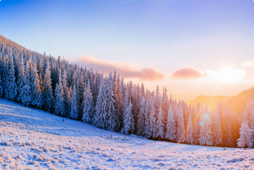 Vinterlandskap. Foto.