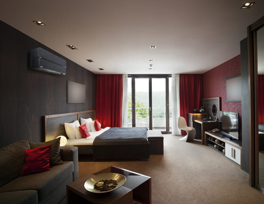 Safirsort Kaiteki på hotellrom. Foto.