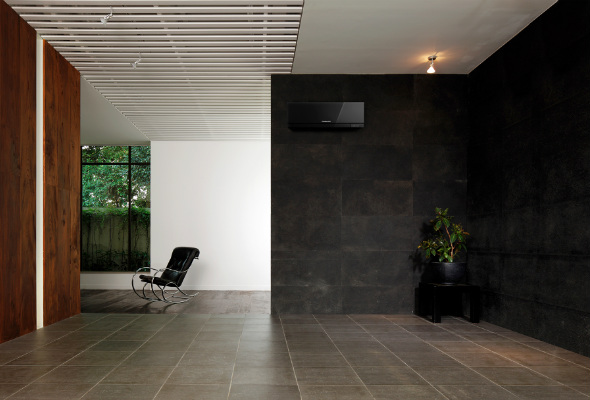 Svart Zen i mørkt miljø. Foto