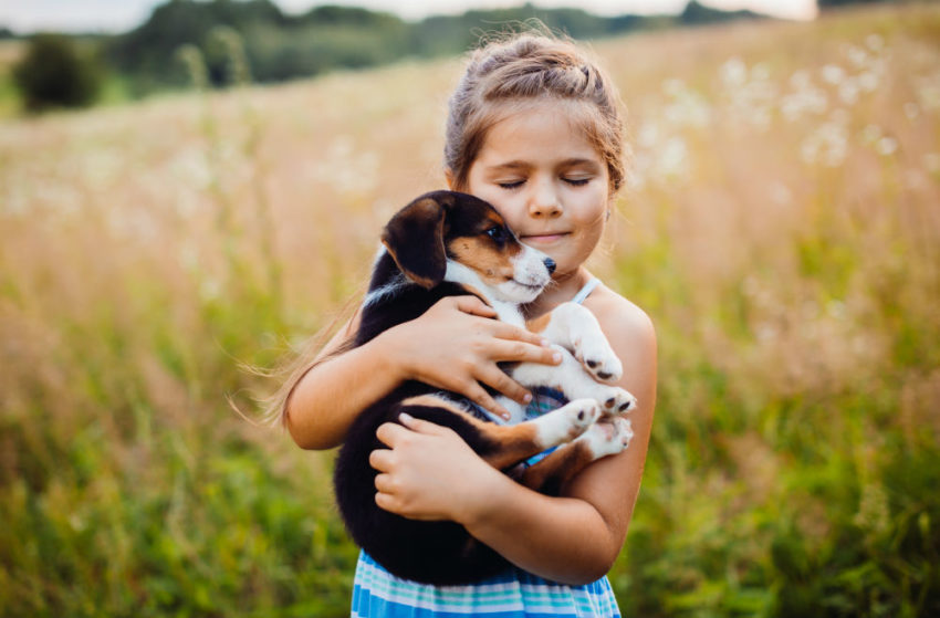 Lita jente som bærer valp. Foto.