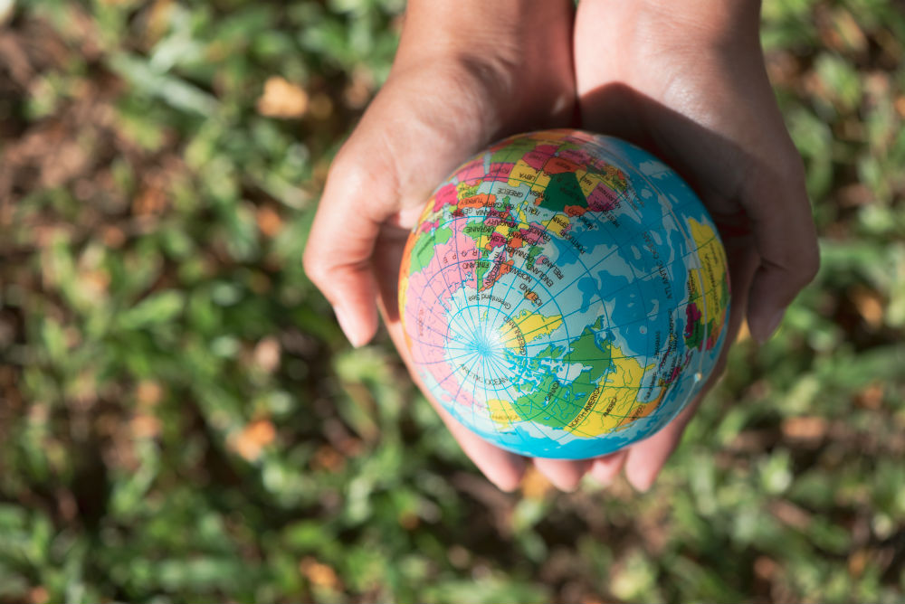 Hender med jordklode. Foto.