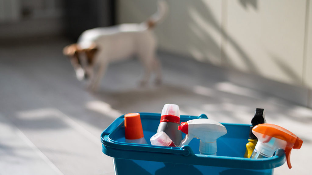 Bøtte med vaskemidler. Foto.